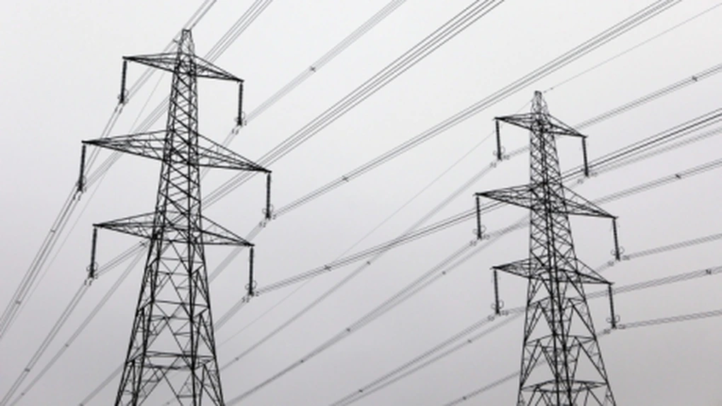 Programul de investiţii asumat de distribuitorii de energie electrică la privatizare a fost respectat - Ministerul Economiei