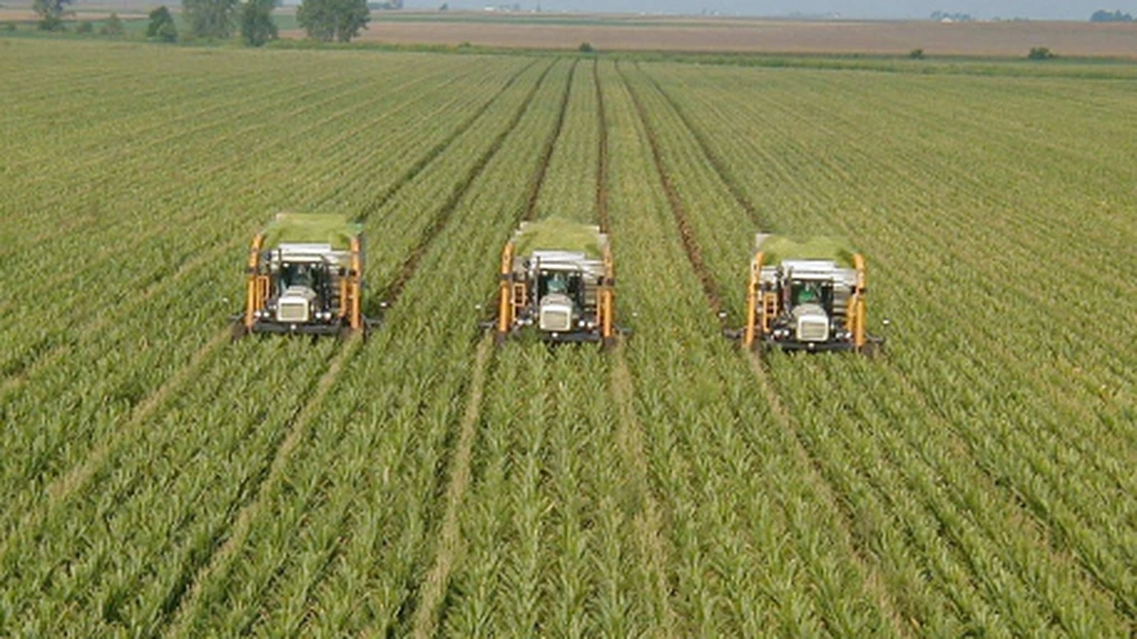 Rădulescu: Producţia agricolă va fi mai mică în 2012