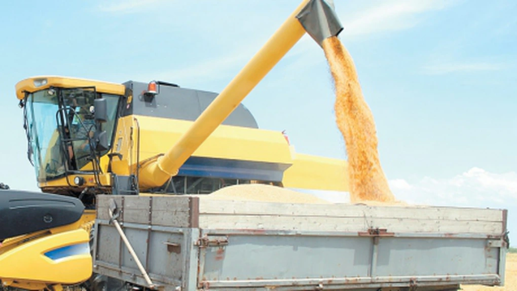 Ucraina va interzice exporturile de grâu, de la mijlocul lunii noiembrie