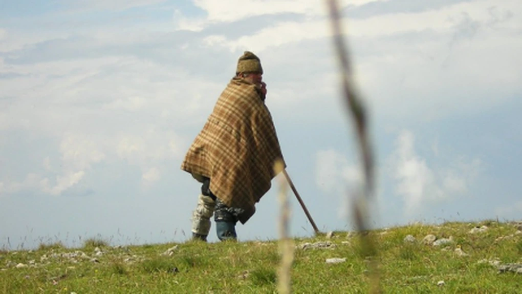 Cum a dat faliment stâna românească