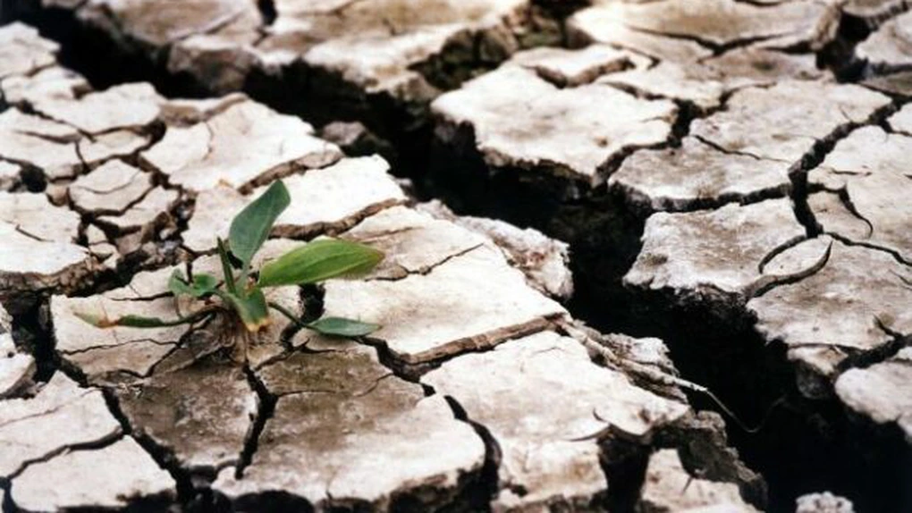 Ponta: România este ţara cea mai afectată de secetă din Europa