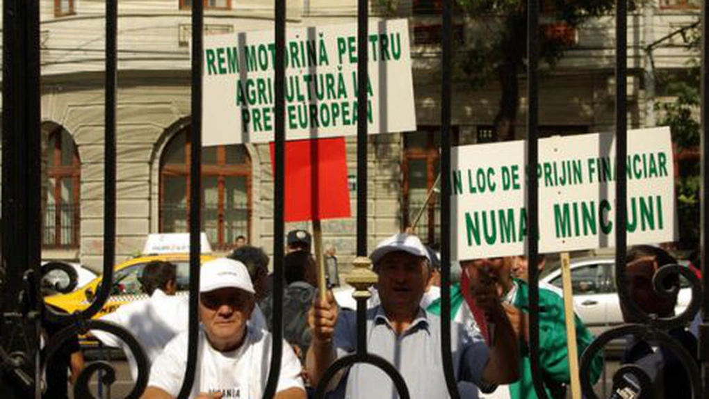 Incidente la mitingul agricultorilor: Protestatarii au început să arunce cu garduri în jandarmi