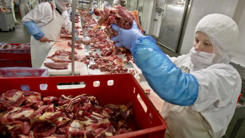Exporturile de carne de cal şi de vită tranşată au scăzut aproape total în urma scandalului