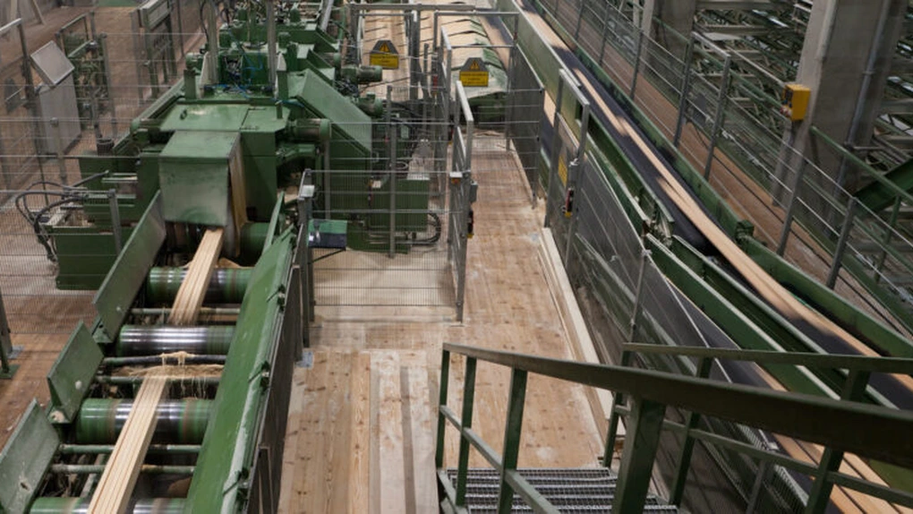 Holzindustrie Schweighofer primește certificarea internaţională că foloseşte numai lemn controlat, obţinut legal  