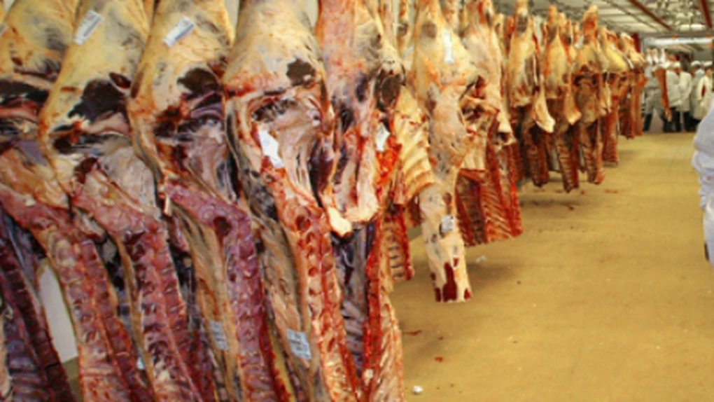 Producătorii români de carne doresc înfiinţarea unei burse a cărnii
