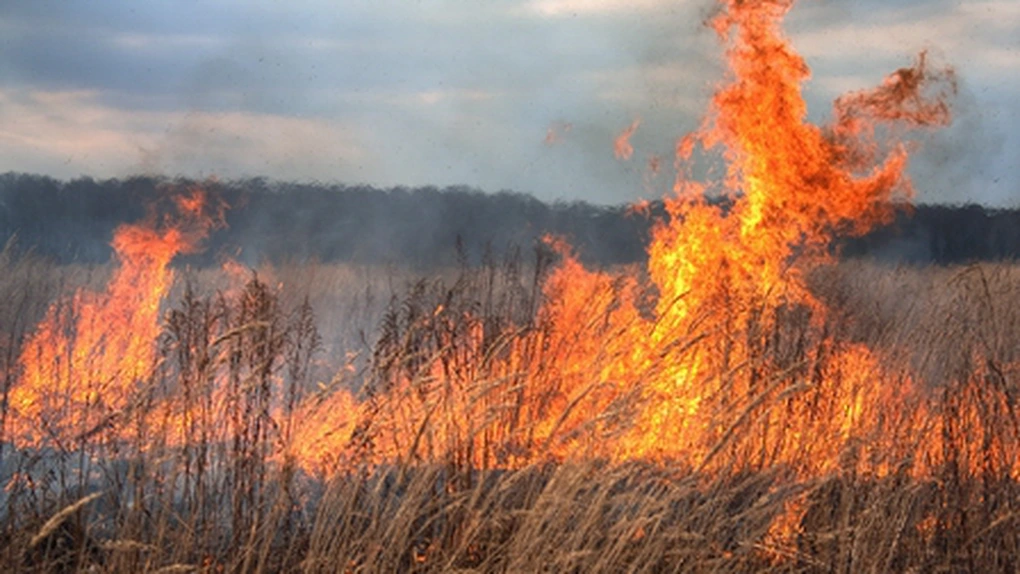 APIA: Fermierii care ard miriştile şi resturile vegetale pe terenul arabil vor fi sancţionaţi