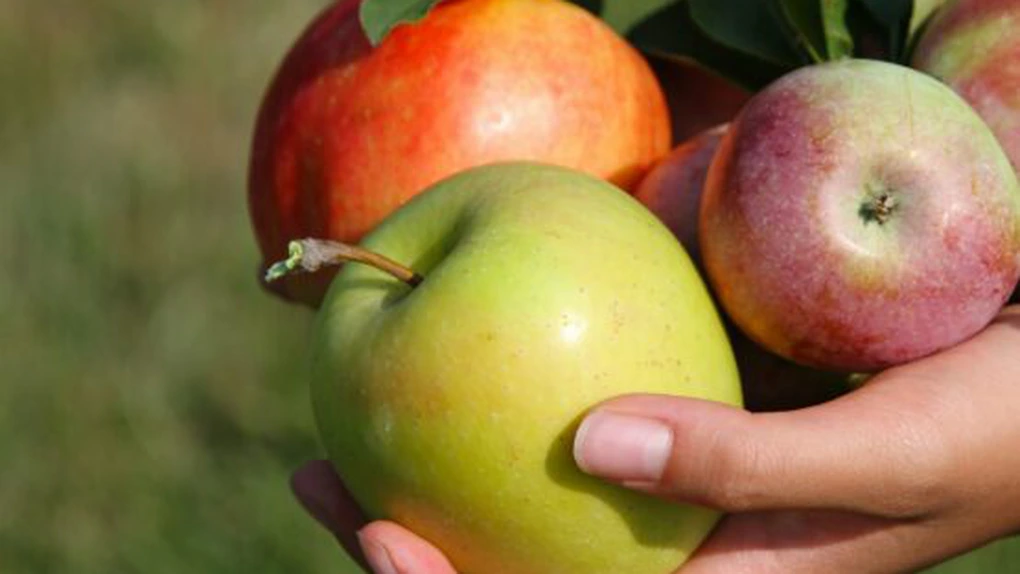 Cât va costa mărul oferit anul acesta copiilor în şcoli