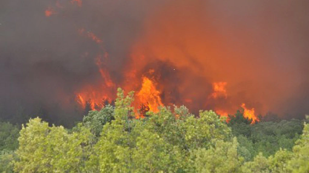 Grecia: Incendiu masiv de pădure în insula Thassos
