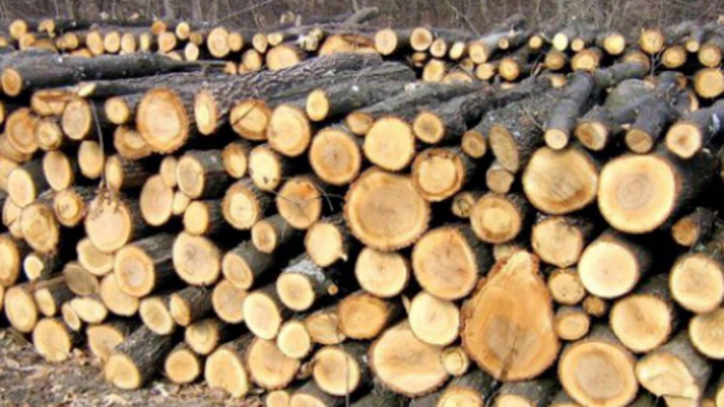 APM Covasna a emis aviz de mediu pentru PUZ privind construcţia unei fabrici de prelucrarea lemnului