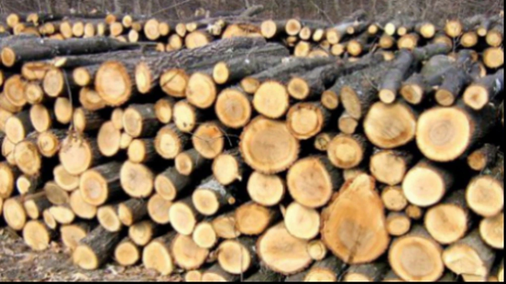 Volumul de lemn exploatat a crescut anul trecut cu 4,8%, la aproape 17 mil. metri cubi