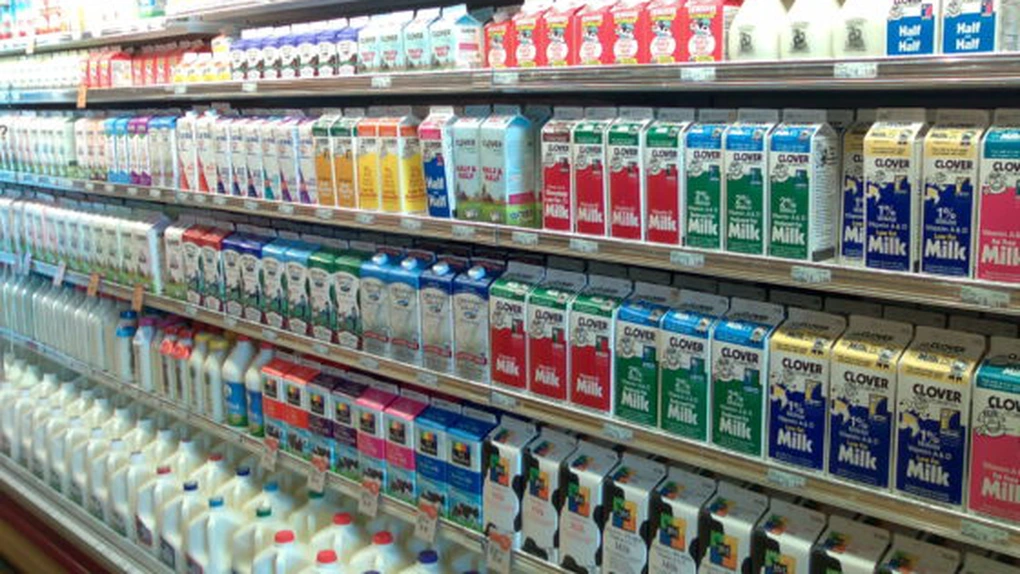 AGROSTAR: Subvenţia pentru lapte trebuie acordată direct crescătorilor de animale, nu procesatorilor