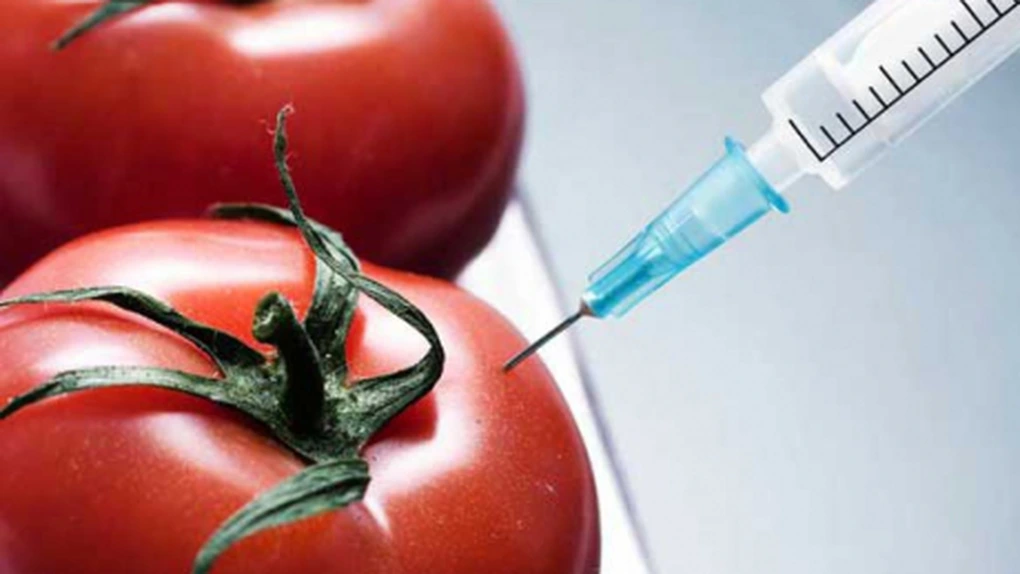 Contaminările accidentale cu OMG perturbă comerţul internaţional