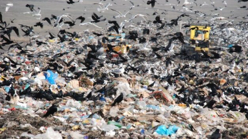 Deşeurile de materiale plastice ameninţă viaţa marină - ONU