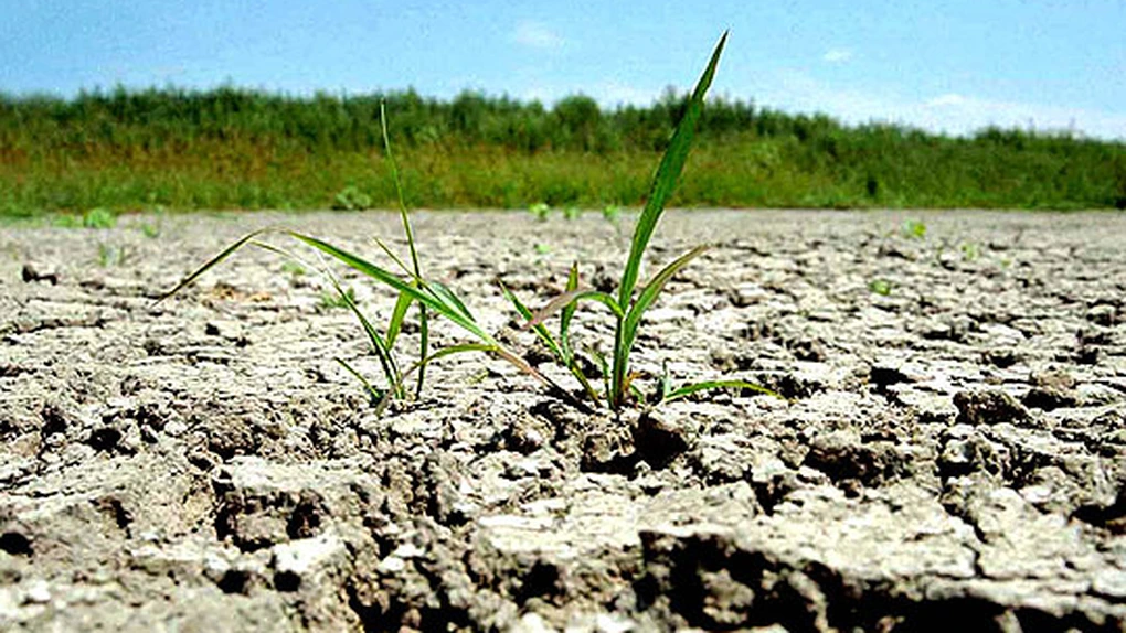 Seceta va continua să afecteze suprafeţe agricole din mai multe zone ale ţării