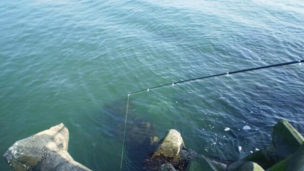 CE vrea să reducă, din nou, cota de pescuit la calcan pentru Bulgaria şi România