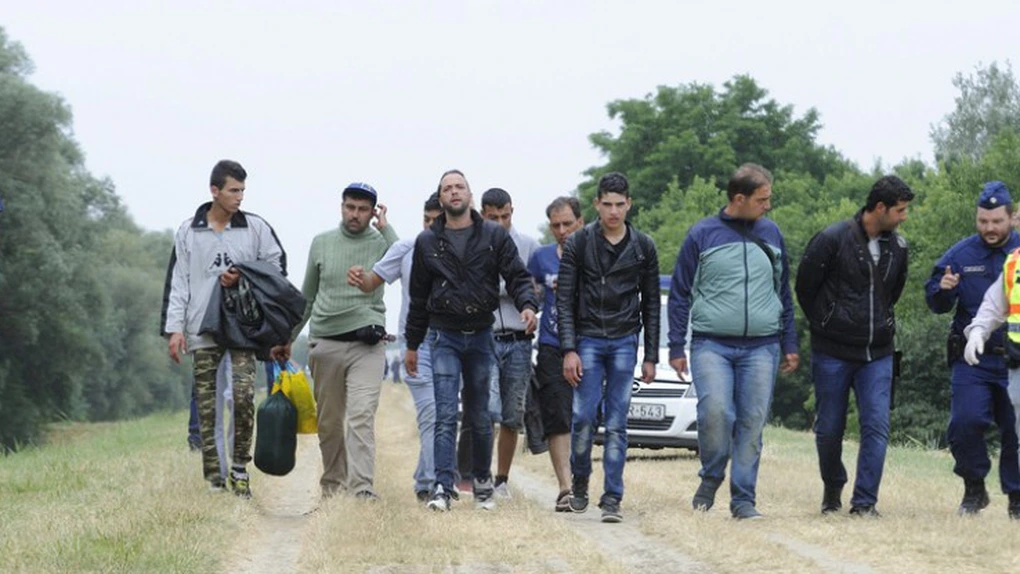 28 de migranţi sirieni şi irakieni, între care doi copii, prinşi când voiau să treacă ilegal graniţa