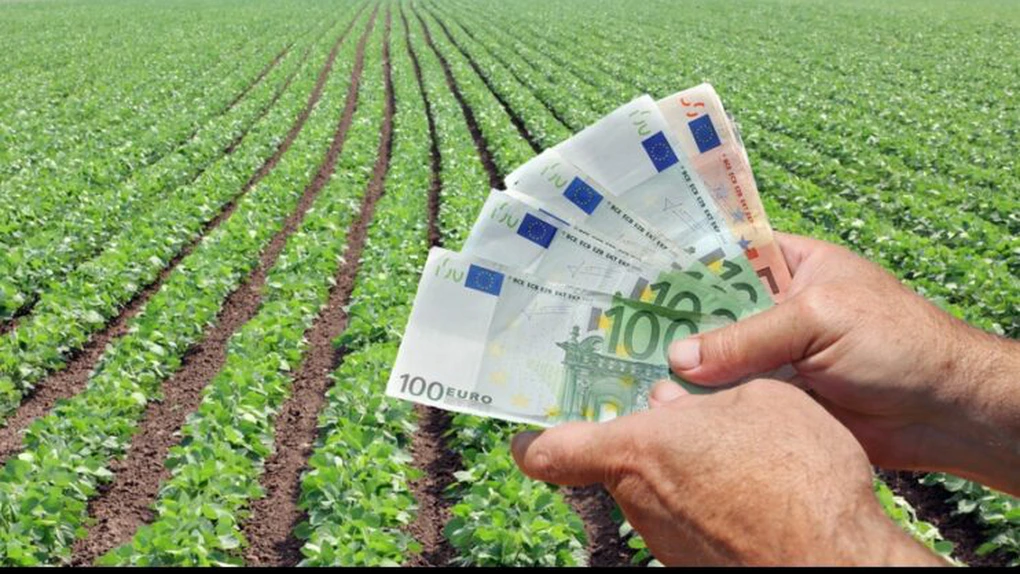 APIA a autorizat plata unei sume de aproape 40 milioane euro pe schemele de sprijin cuplat în sectorul vegetal