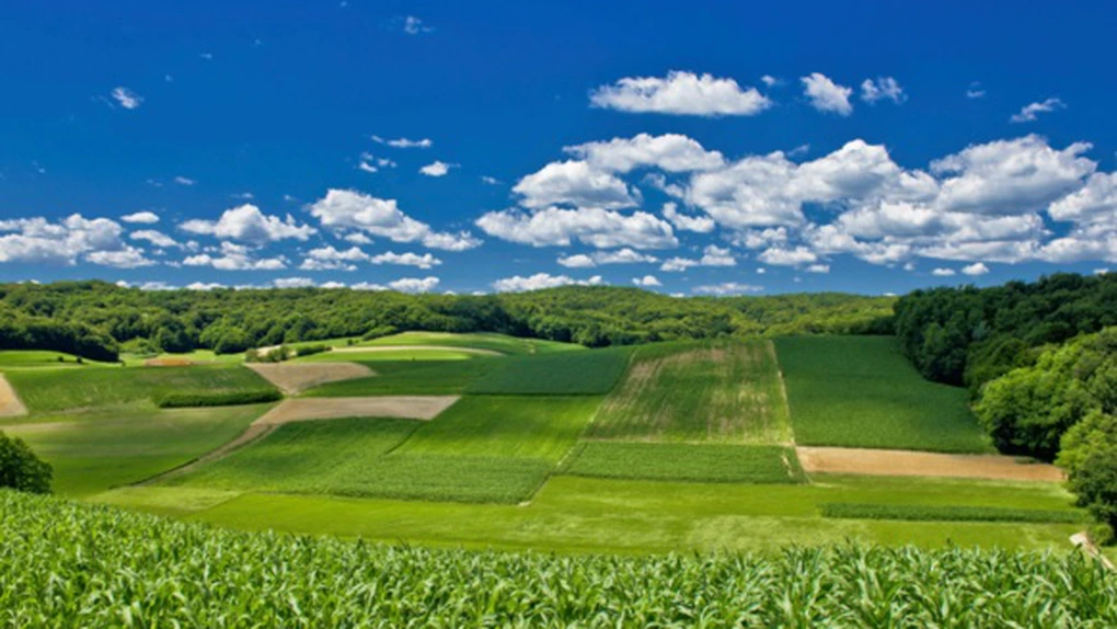 Investitorii din agribusiness vor continua să vină în România