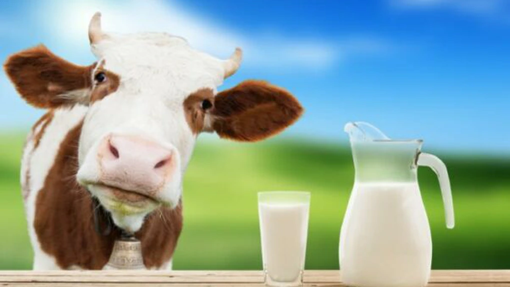 Fermierii din sectorul laptelui pot depune cerere pentru a primi ajutor financiar excepţional