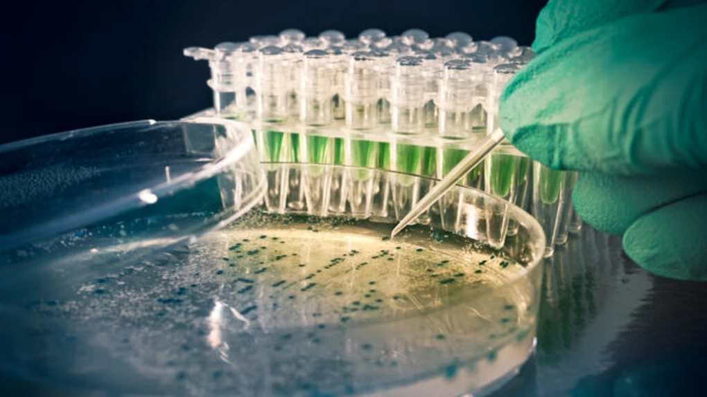 25.000 de decese sunt cauzate în Europa de rezistenţa la antibiotice. Costurile anuale ajung la 1,5 milioane euro