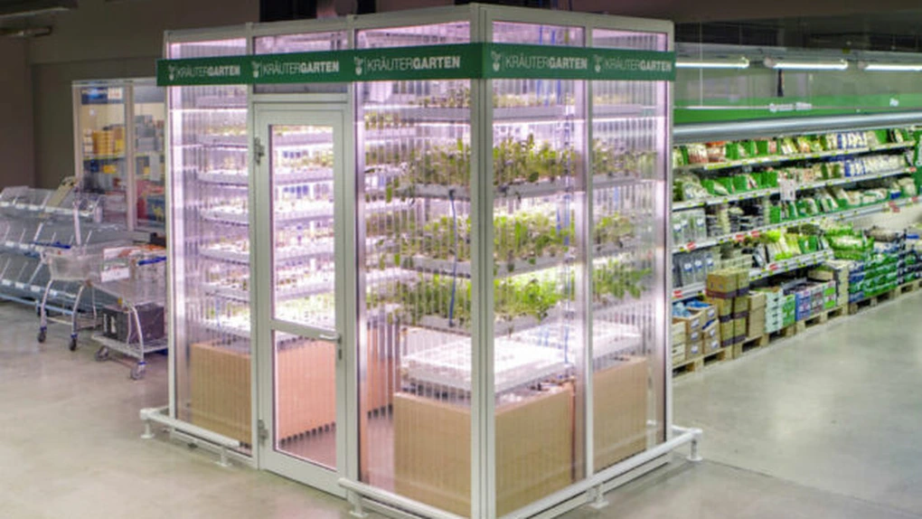 Premieră în retail: Metro aduce sera de legume în magazin