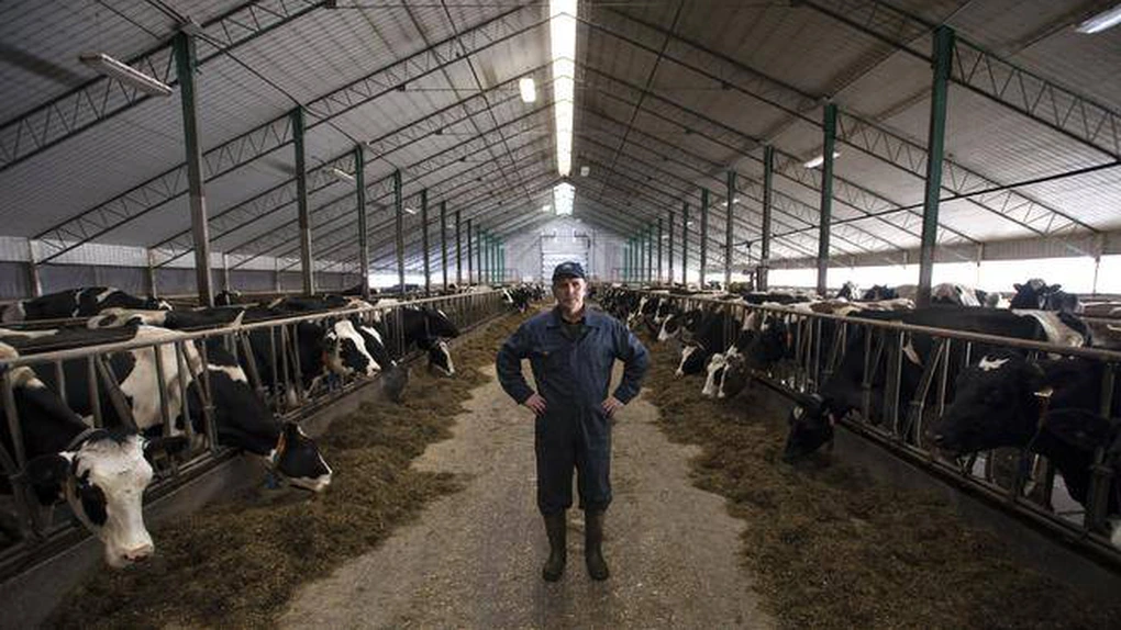 Ministrul Agriculturii: Anul acesta dăm 1.248 de euro pe vaca de carne, adică mai cumpăr încă o dată vaca