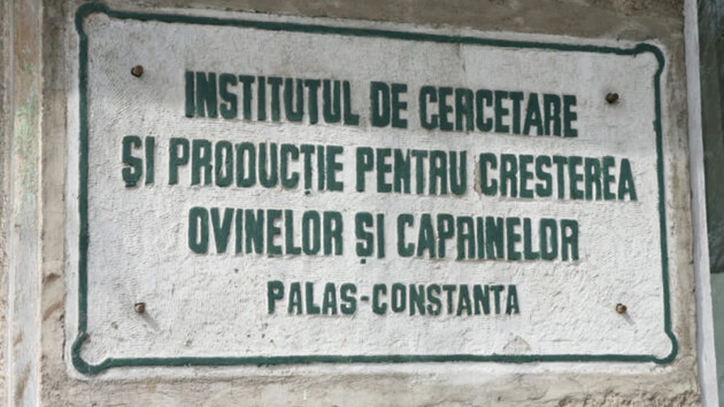 Guvernul reorganizează Institutul de Cercetare-Dezvoltare pentru Creşterea Ovinelor şi Caprinelor - Palas