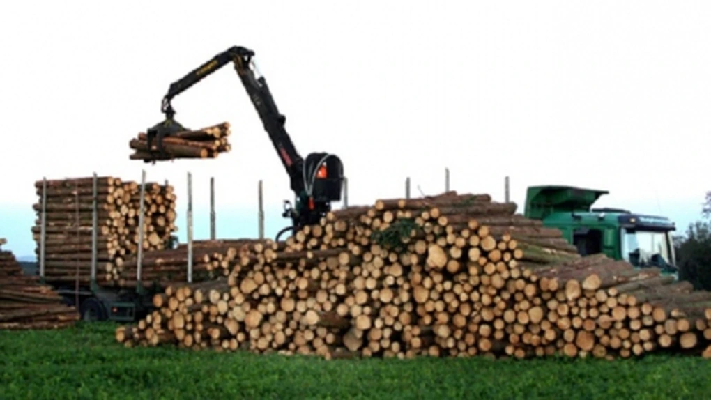Ministerul Apelor şi Pădurilor va monitoriza, împreună cu Gărzile Forestiere, activitatea Holzindustrie Schweighofer