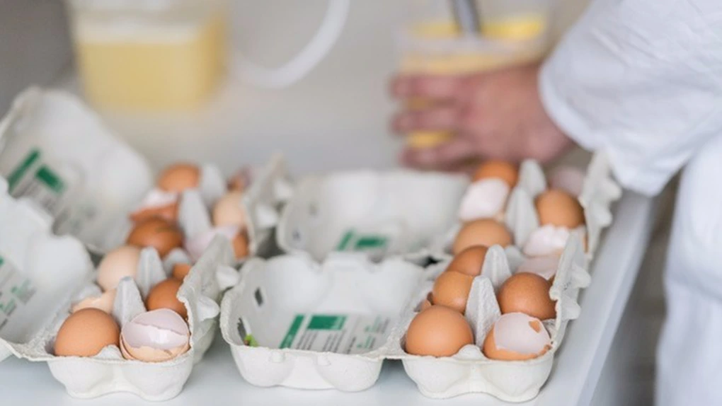 Scandalul fipronil: doar două ouă contaminate pot fi periculoase pentru copii
