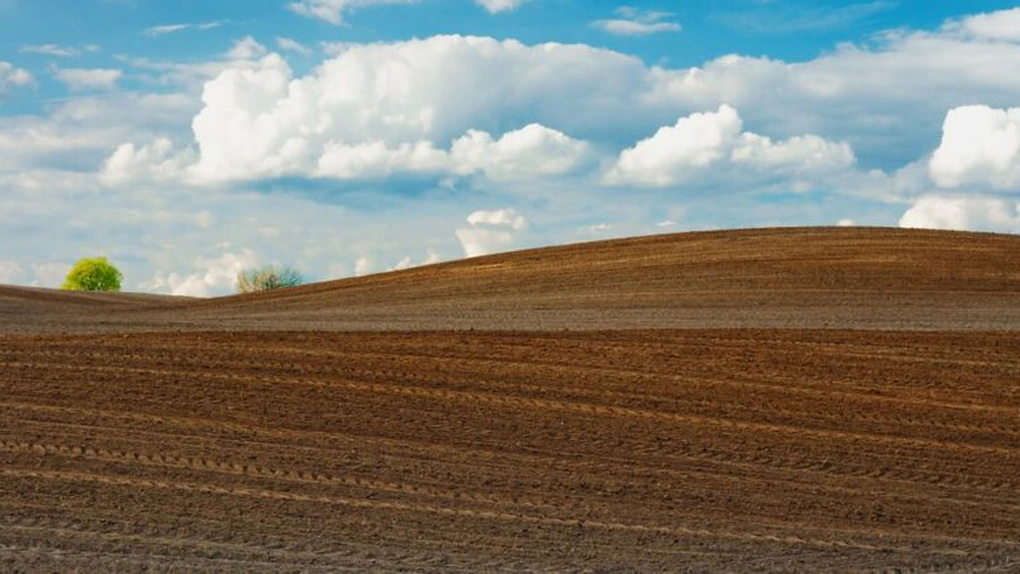 Vânzare masivă de teren arabil. Danezii de la FirstFarms renunță după 13 ani la 1.700 de hectare în Timiș. Profitul este de 5,3 milioane de euro