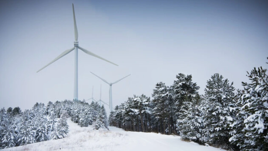 Austria va investi un miliard de euro pentru a face tranziția la producerea exclusivă de energie verde
