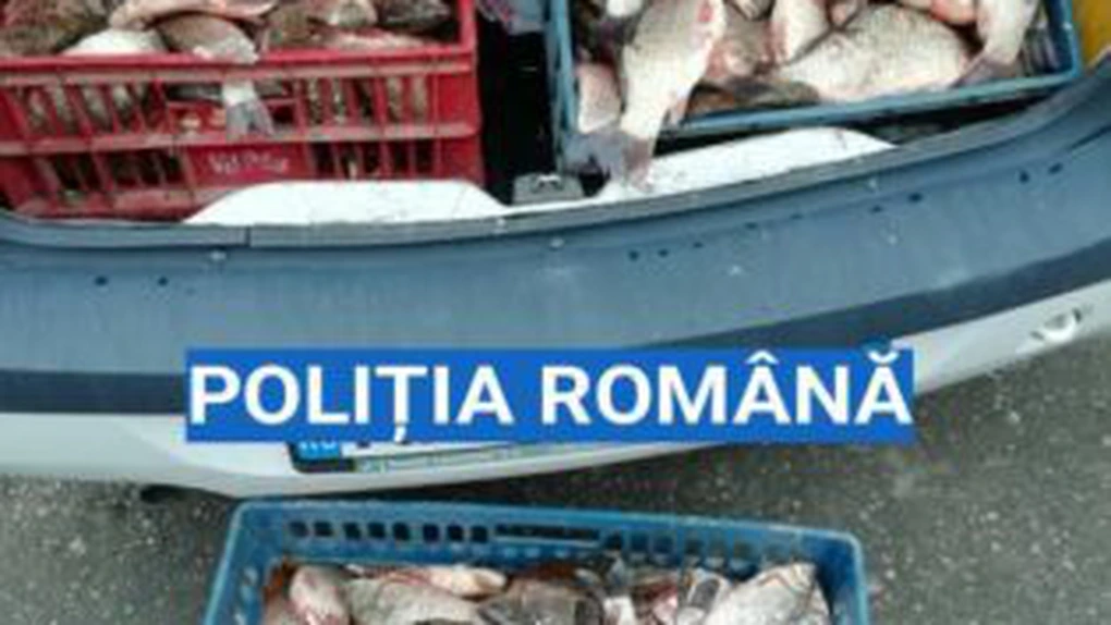 IGPR: Peste 27 tone de peşte confiscat anul trecut în urma acţiunilor de combatere a braconajului piscicol