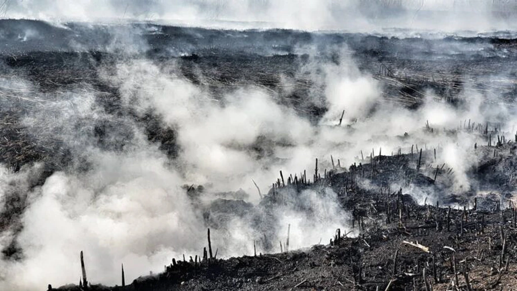 Proprietarul fostei ferme de porci din Periș a primit o amendă de 115.000 de lei și i s-a făcut plângere penală