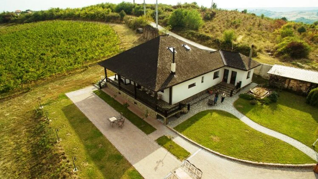 Avocata Magdalena Enescu a scos la vânzare domeniul viticol de 14 hectare de la Drăgaşi