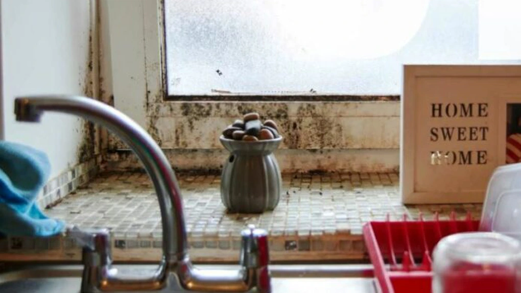 Jumătate dintre români locuiesc în case prea mici, insuficient încălzite, cu mucegai sau acces precar la grup sanitar - Kingfisher