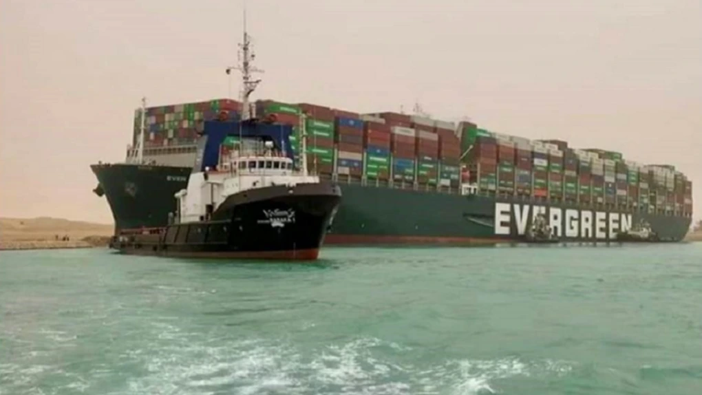ANSVSA: Se pot relua exporturile de animale vii prin Canalul Suez, odată deblocat. Crește frecvența controalelor