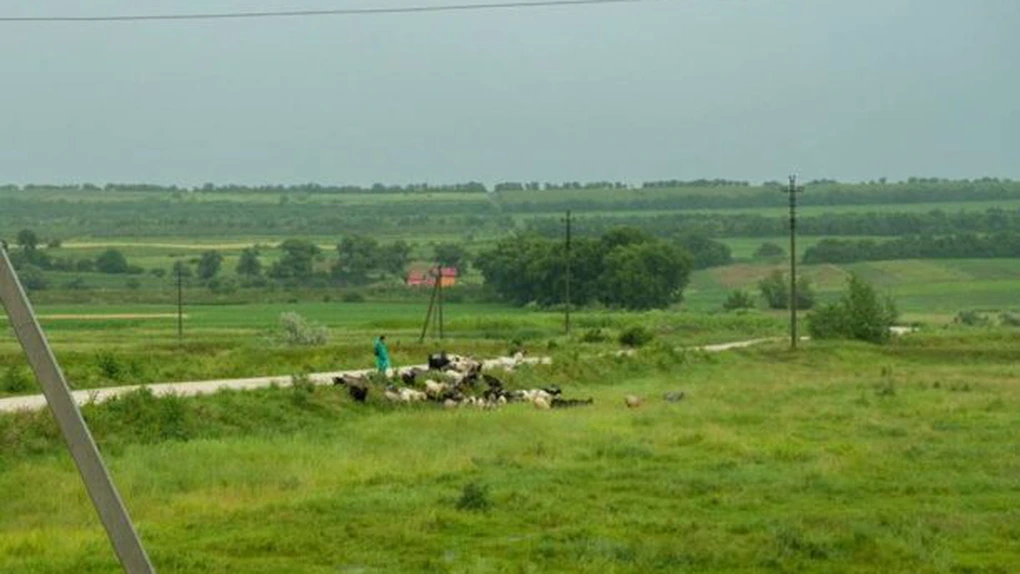 FAO sprijină micii fermieri din Republica Moldova să-și sporească reziliența și productivitatea