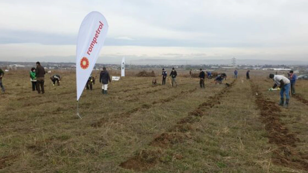 Rompetrol continuă campania de plantare în județul Prahova