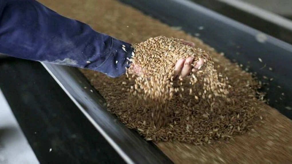 Ucraina ar putea exporta doar 200.000 de tone de grâu în perioada martie-iunie 2022