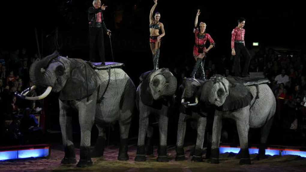 Festivalul Internațional de Circ de la Monte Carlo se amână din nou din cauza pandemiei