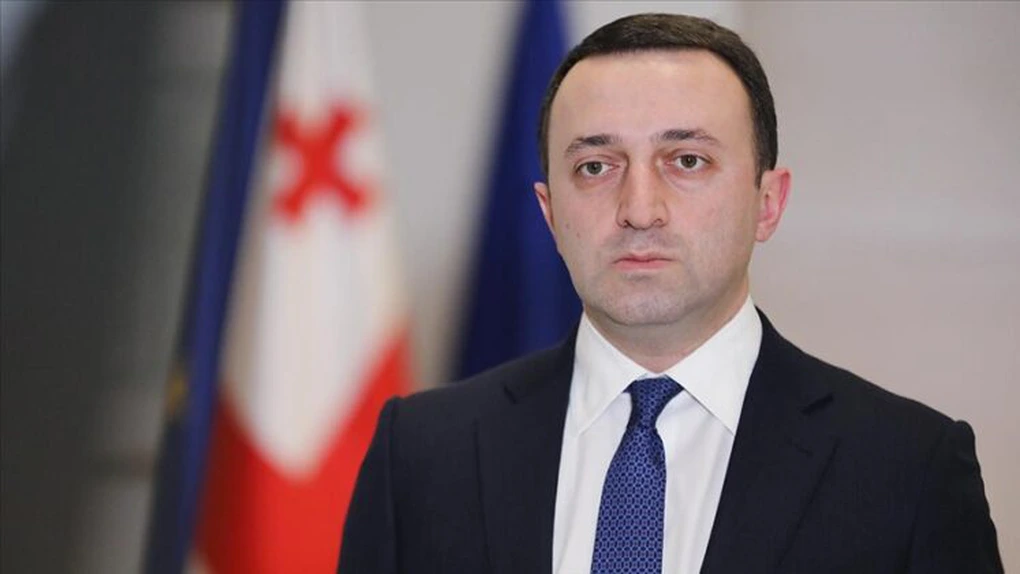 Georgia solicită în mod oficial aderarea la Uniunea Europeană