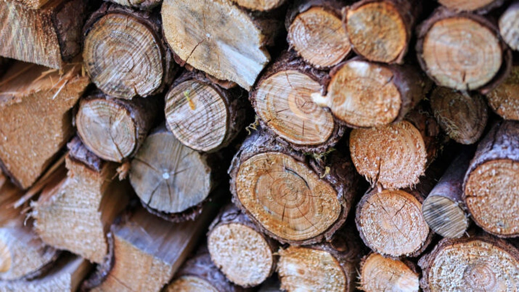 Romsilva a vândut 1,63 mil. mc lemn de foc pentru populație în primele zece luni, cu 26% mai mult