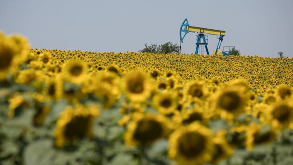 Petrom și-a făcut firmă pentru producția de biocombustibili în România