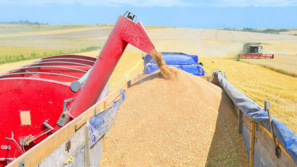 Record al ultimilor 10 ani - Egiptul a cumpărat 240.000 de tone de grâu din România