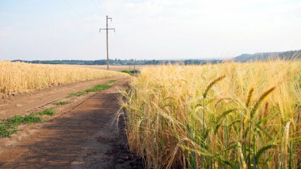 Rusia controlează 22% din terenurile agricole ale Ucrainei - NASA