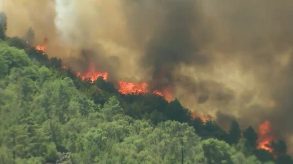 Portugalia, în alertă. Incendiile fac ravagii în centrul şi nordul țării