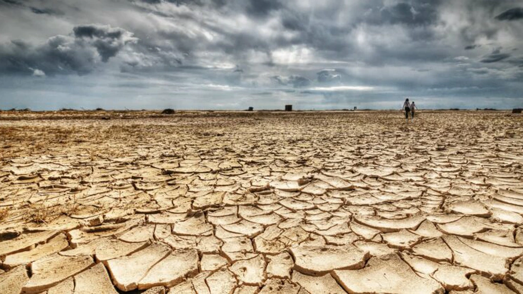 Suprafața totală afectată de secetă a ajuns la peste 231.700 de hectare. Sunt 28 de județe afectate
