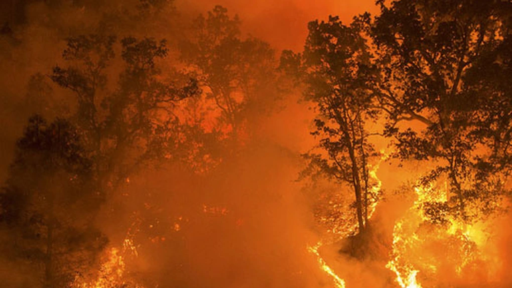 Uniunea Europeană se confruntă cu cele mai puternice incendii de pădure de la începutul înregistrărilor comune în 2006