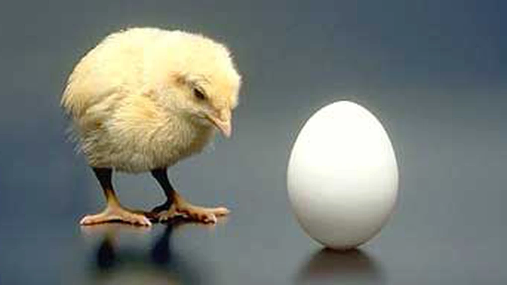 Prețul ouălor continuă să crească. Sunt cu 70% mai scumpe decât anul trecut