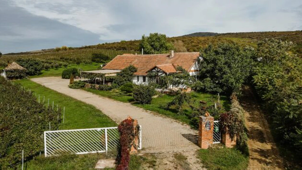 950.000 de euro pentru o cramă din arealul Miniș fondată acum 180 de ani. Antreprenorul Mirian Mircov vinde afacerea cu tot cu clădiri din secolul XIX